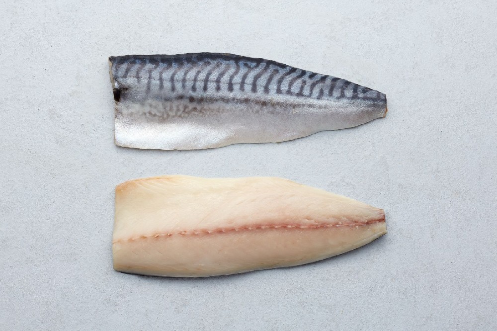 Mackerel Fillet